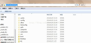 樹莓派常用軟件及服務 從入門到應用的完整指南